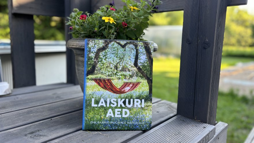 Laiskuri aed