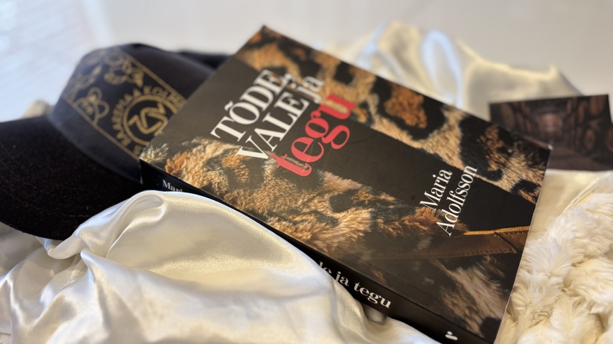 Romaan "Tõde, vale ja tegu"